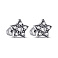 Серебряные серьги Звезды с фианитами (арт. 7518/2121) – изображение 1