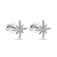 Сережки з білого золота з діамантами (арт. Т011215010б)